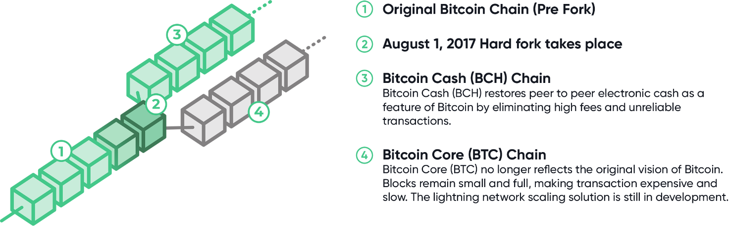 Bitcoin cash schema